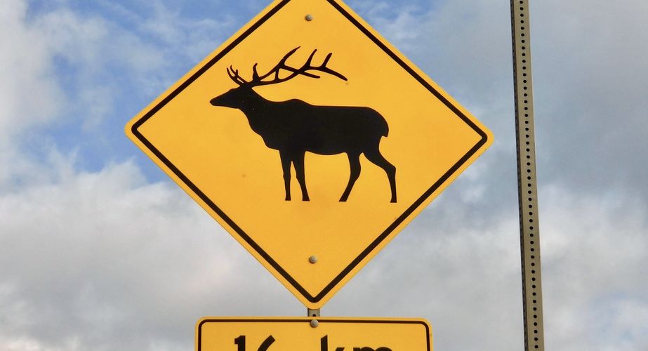 28 38 Canada 161 28 38 Canada 161